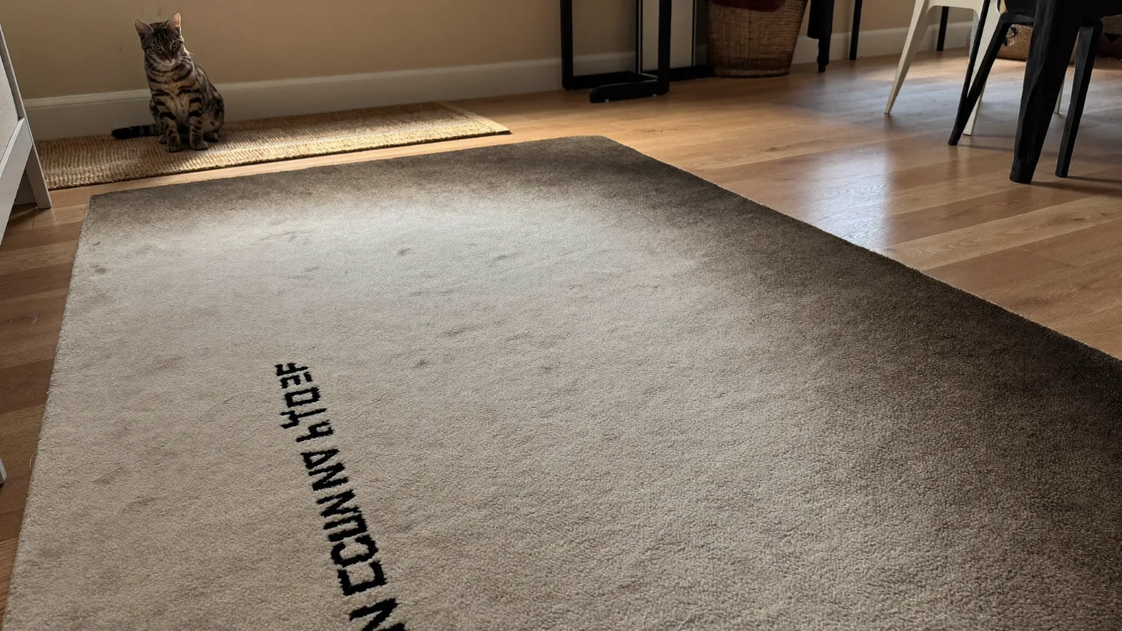Chat près d'une auréole de pipi de chat sur le tapis clair d'un salon — illustration